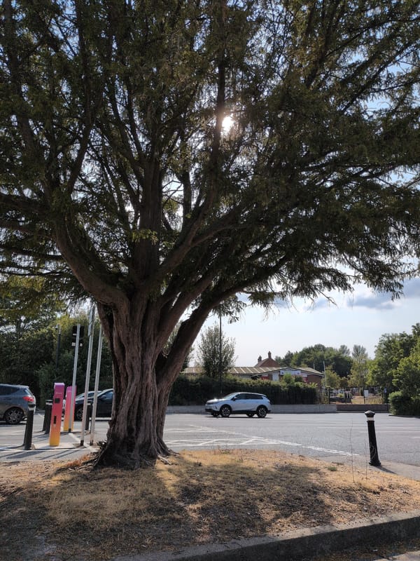 Sunny afternoon around Dawley's streets, pubs, and public spaces