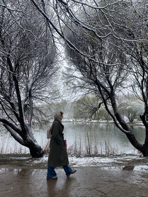 Unseasonable April snowfall blankets Moscow parks and streets