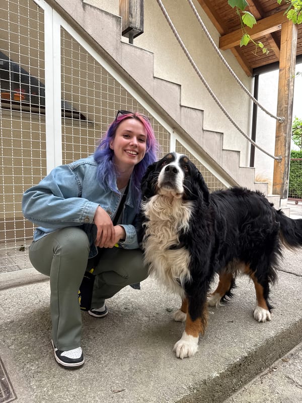 Colorful-haired person explores Zagreb with dog, captures spring blooms