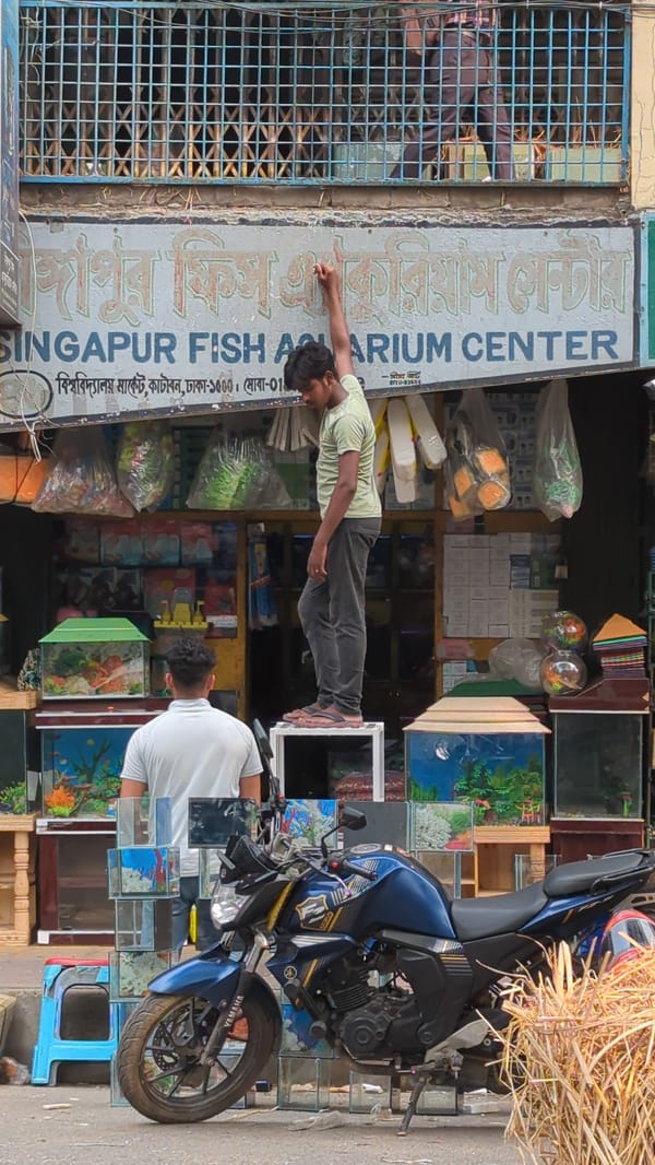 Morning street life documented near Dhaka aquarium shop