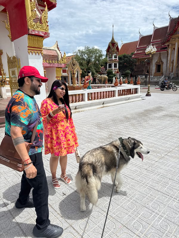 Morning visit to Wat Chalong with a husky in tow