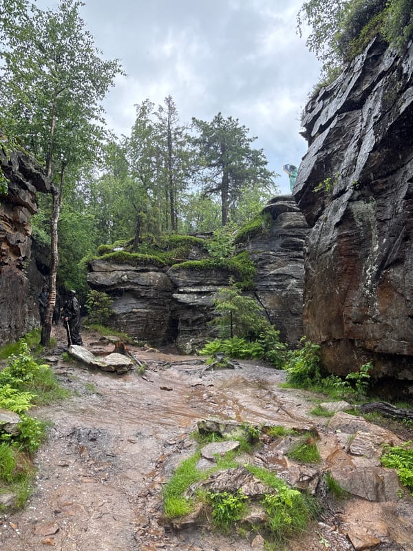 Hikers traverse rainy forest trails near Nagornskiy, Russia