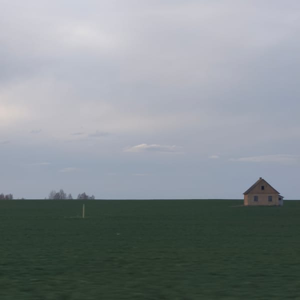 Rural house stands alone in green field, Belarus