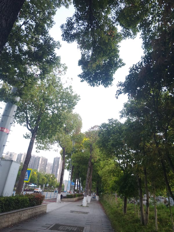 Urban documentation captures Chongqing High-tech Zone street scenes, hospitals