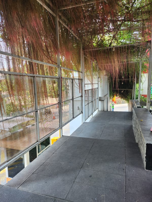 Covered urban walkway in Depok, vines and mesh railings