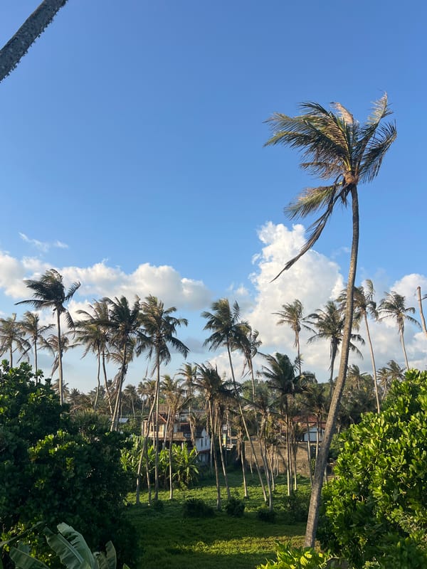 Coastal landscapes documented across Sri Lankan towns under clear skies