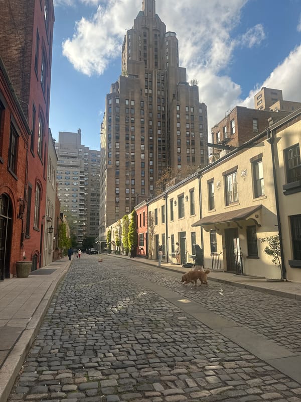 NYC street scenes captured showing cobblestones and sidewalk graffiti