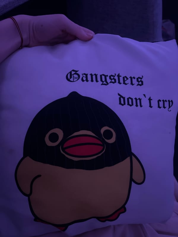 Person poses with novelty cartoon pillows in Saint Petersburg bedroom