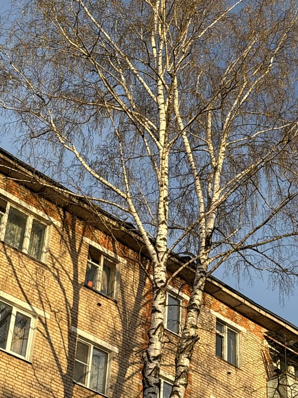 Early morning building and sky views documented in Klin