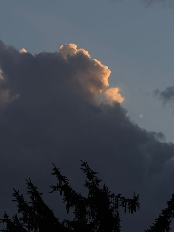 Individual documents evening scenes across Sofia during storm weather