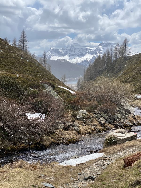 Alpine landscape documented near Baceno, Italy during light snowfall