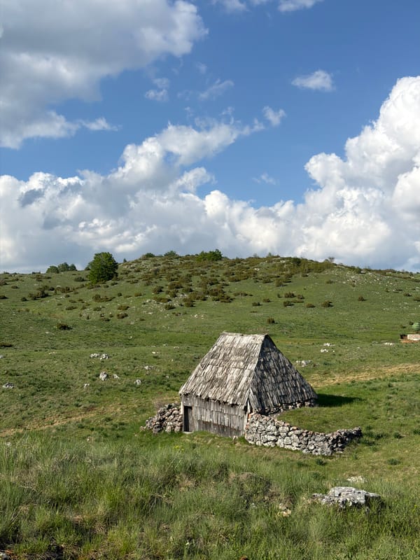 Rural farming scenes documented in Nedajno, Montenegro countryside