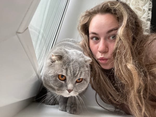 Woman documents morning moments with Scottish Fold cat in Chaikovsky