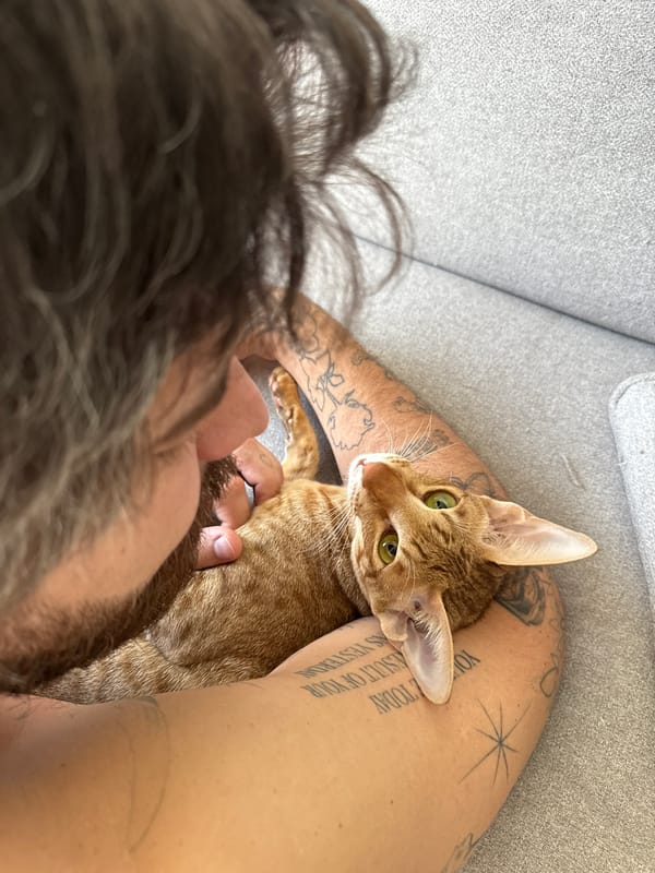 Person and orange cat interact in Khimki home