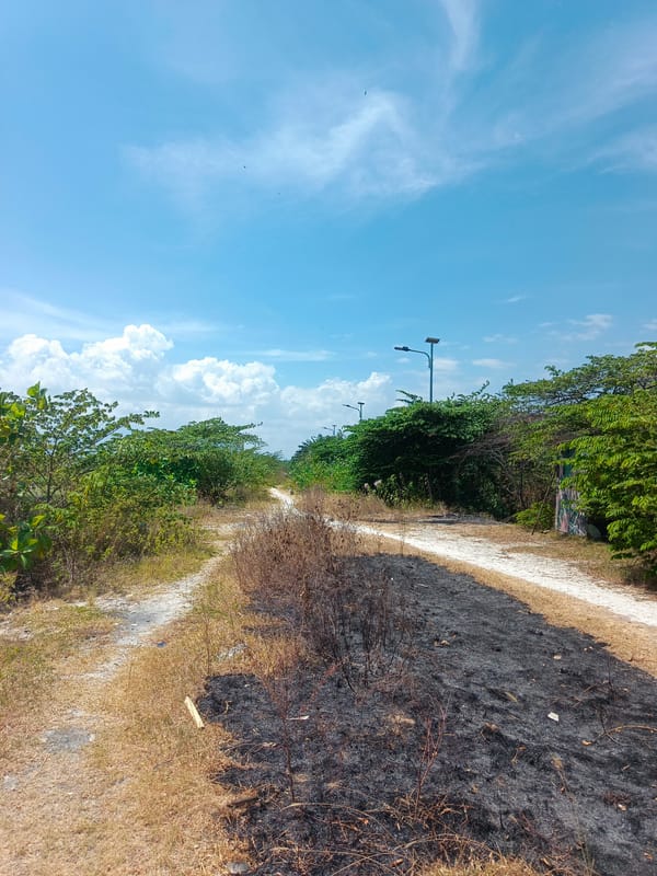 Dirt paths and calm water near Gorontalo's rural landscape