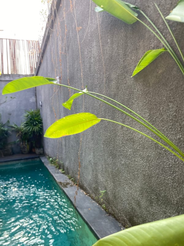 Poolside villa life in North Kuta, Bali