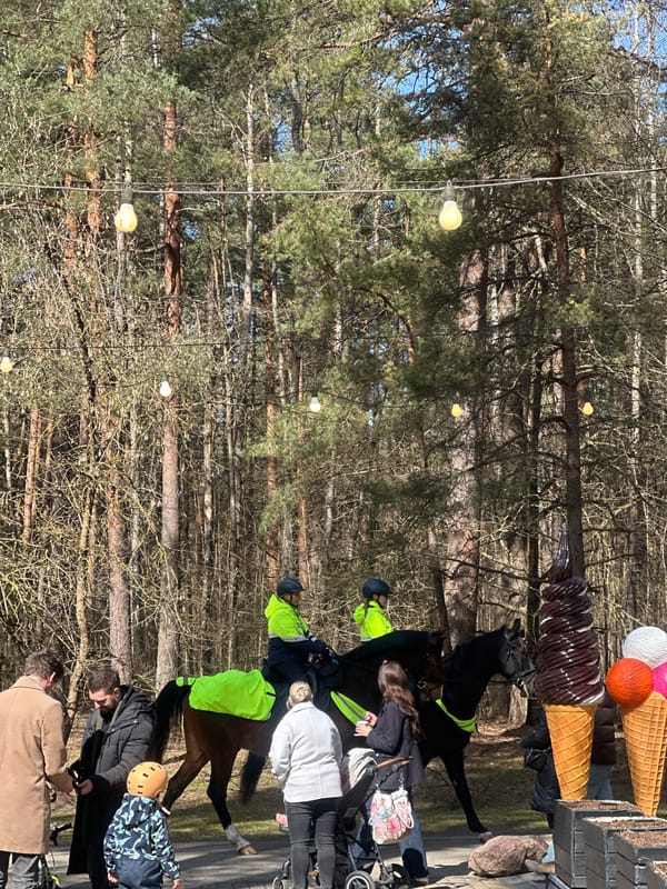 Woman enjoys cookie during forest outing in Riga