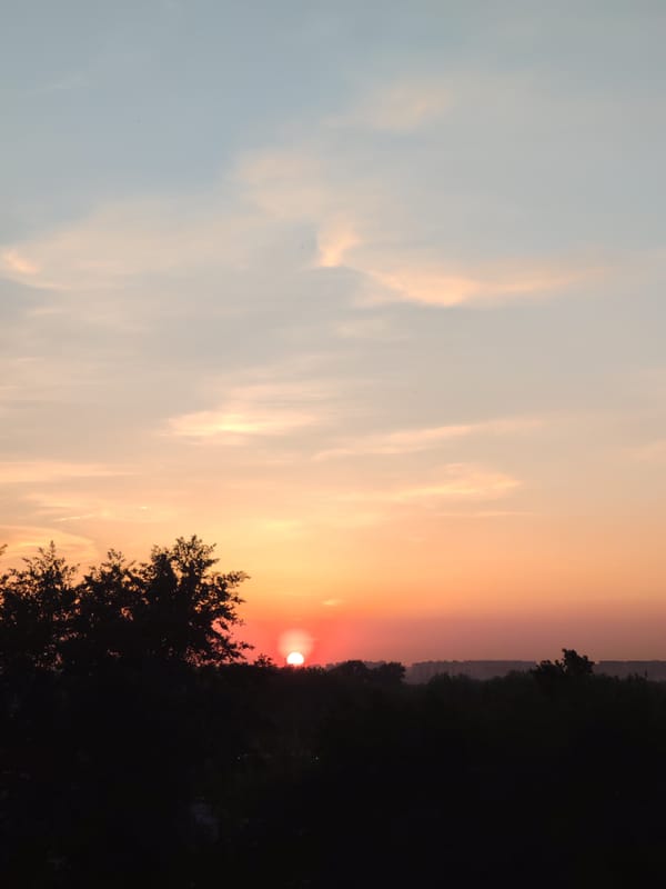 Evening scenes captured in Podolsk: sunset, blooming lilacs, pedestrian