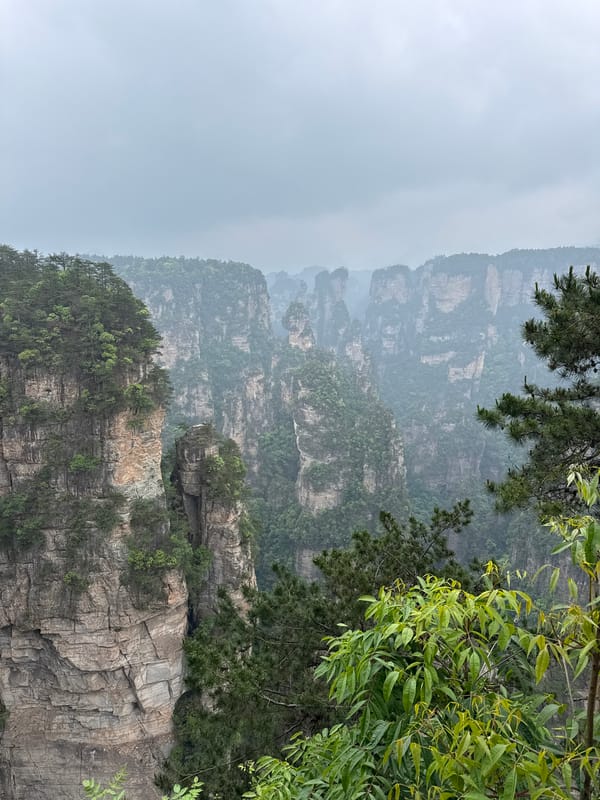 Misty dawn views captured at Zhangjiajie's iconic rock pillars