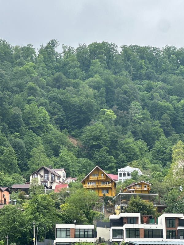 Quiet moments captured in Sochi region neighborhoods and waterways
