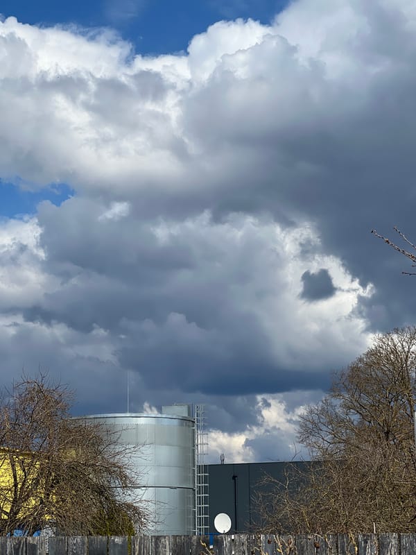 Woman documents morning outdoor visit in Riga park