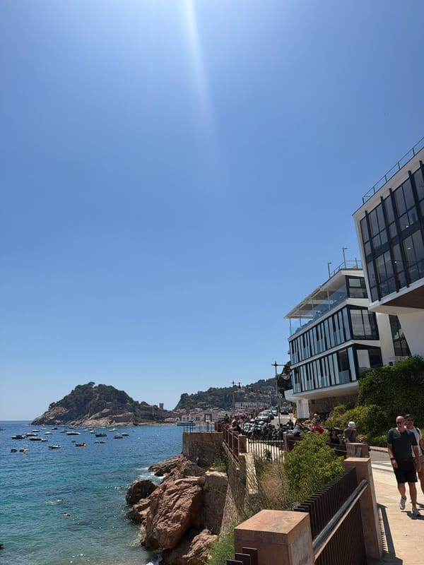 Selfies and sea views at a boat-filled coastal bay