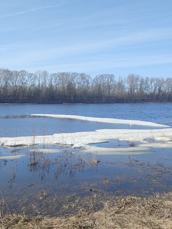 Spring flooding documented with melting ice, submerged vegetation observed