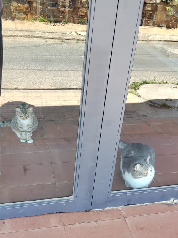 Masked flower vendors sell roses at Da Lat market