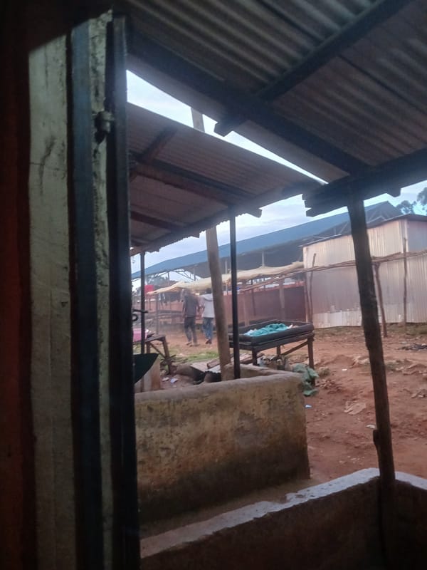 Market street scene documented from corrugated shelter viewpoint