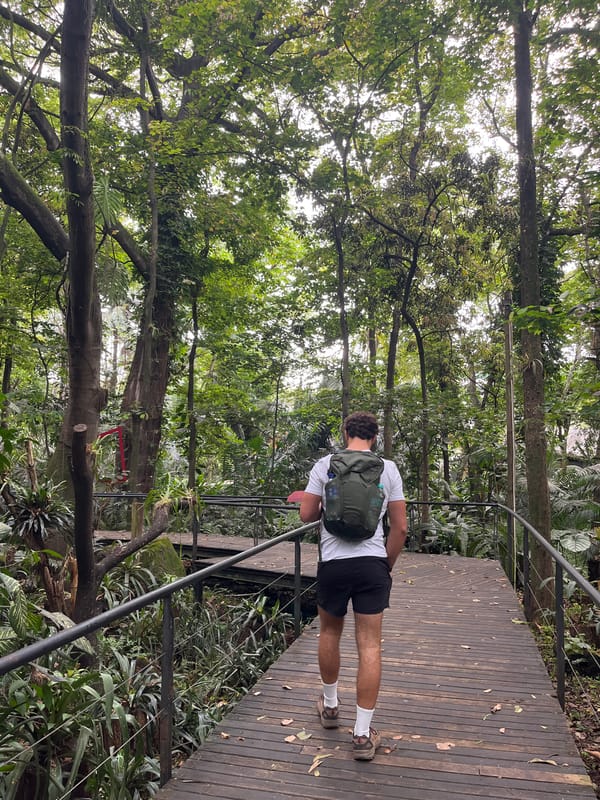 Hiker photographed on wooden trail in Medellín vegetation