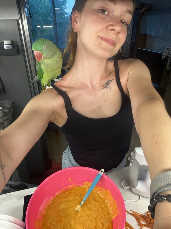 Kitchen cooking session with a very involved green parrot