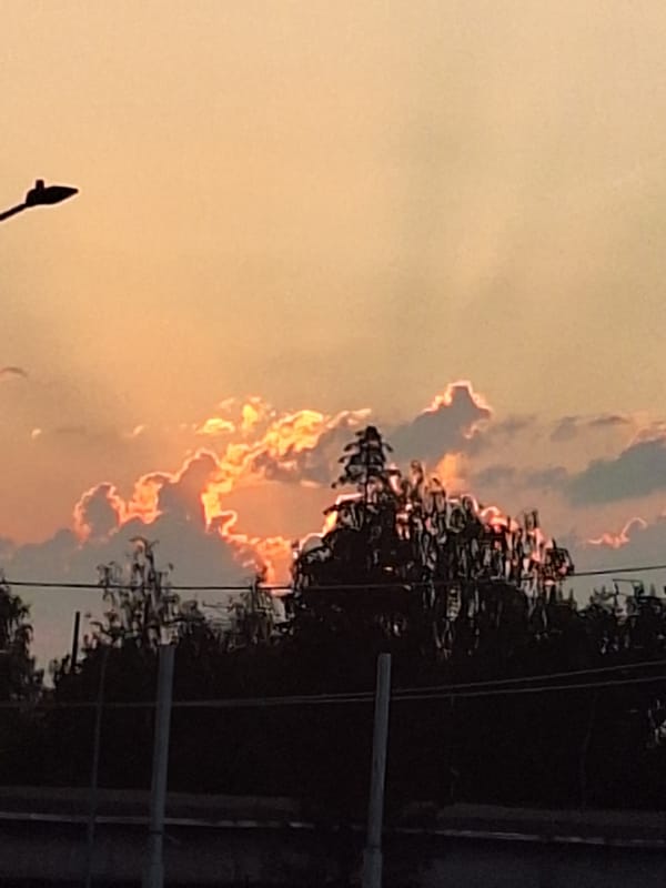 Street lamp and trees silhouetted against orange sky in Perm