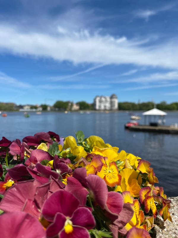 Witness captures scenic waterfront moments in Kaliningrad, Russia