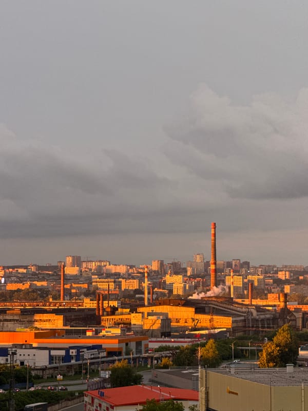 Cat on a windowsill watches Izhevsk at golden hour
