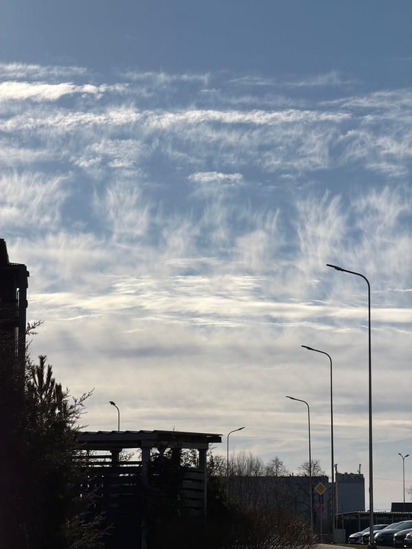 Woman lies on stuffed animal display in Latvia store