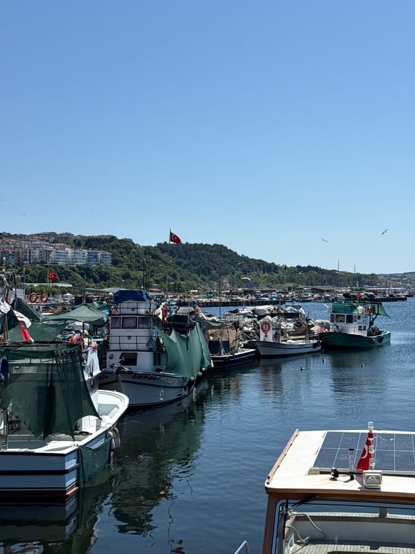 Şile harbor: boats, calm water, and local signage