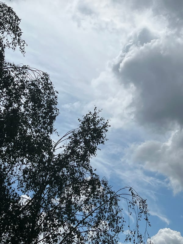Storm clouds and green canopies fill Warsaw's midday sky