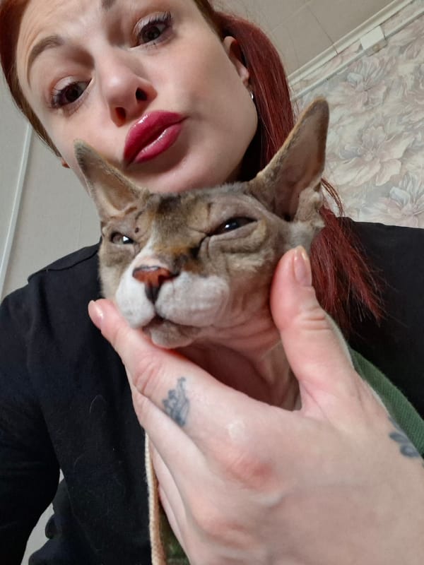 Sphynx cat in a striped shirt steals the show in rural Belarus