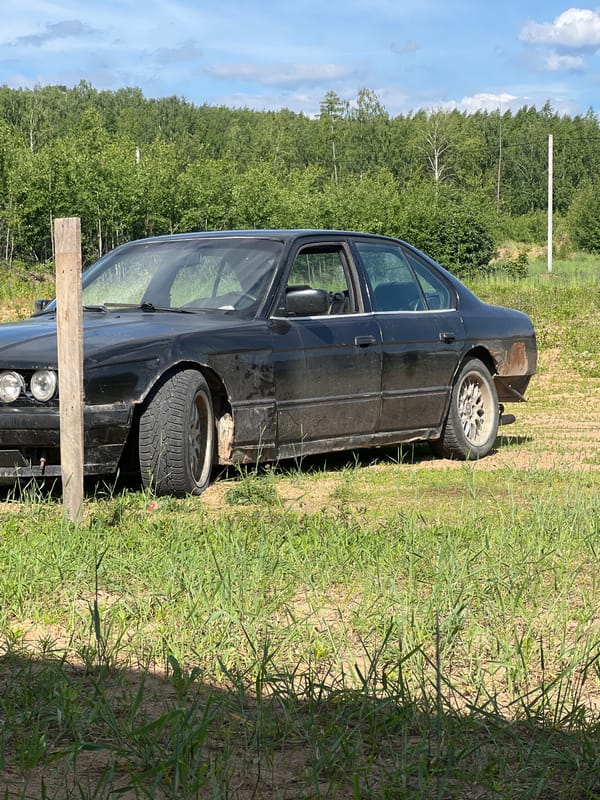 Daily construction and gardening work documented in Noviy, Russia