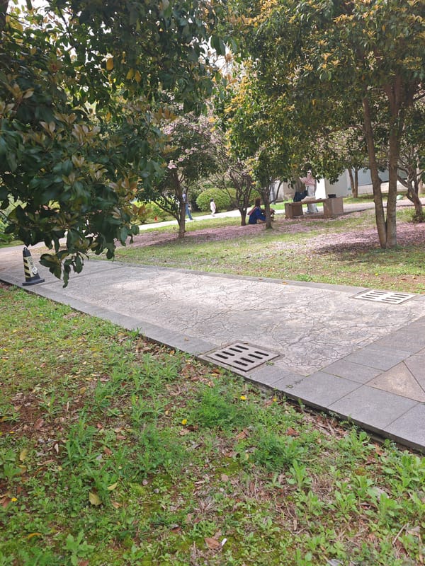 Morning park activities observed in Jiangning District