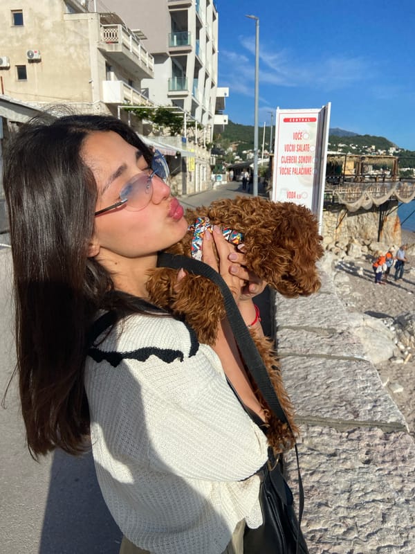 Woman with poodle, man in religious shirt spotted in Sutomore