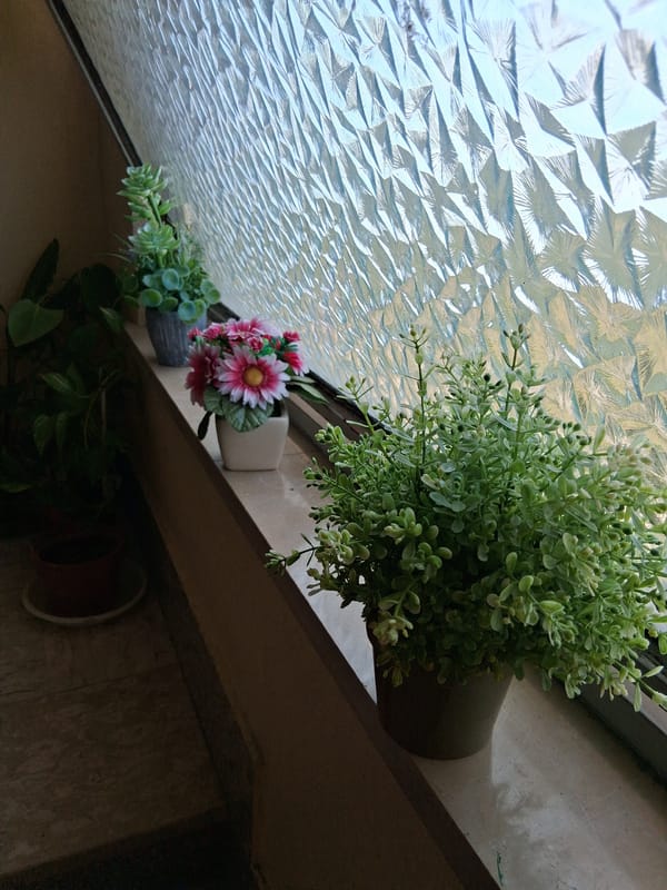 Inside a Colorno residence: staircases, doors, and windowsill plants