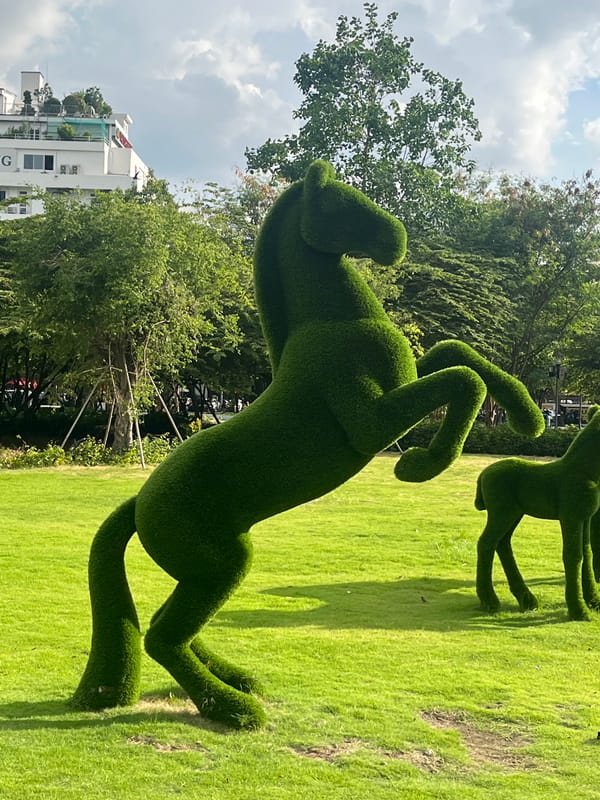 Morning stroll through Thủ Đức's parks and streetscapes