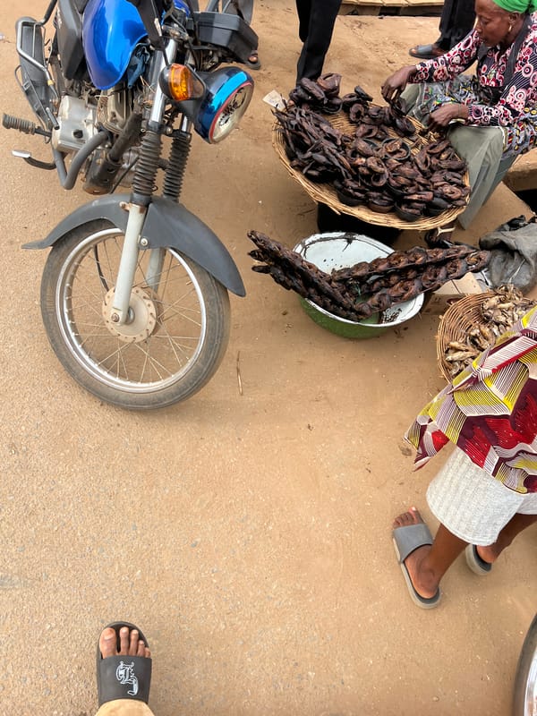 Dried fish vendor operates roadside stall in Makurdi market