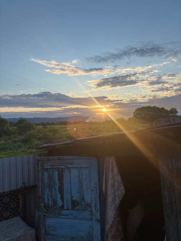 Rural scenes: resting dog, bus travel, sunset landscapes documented