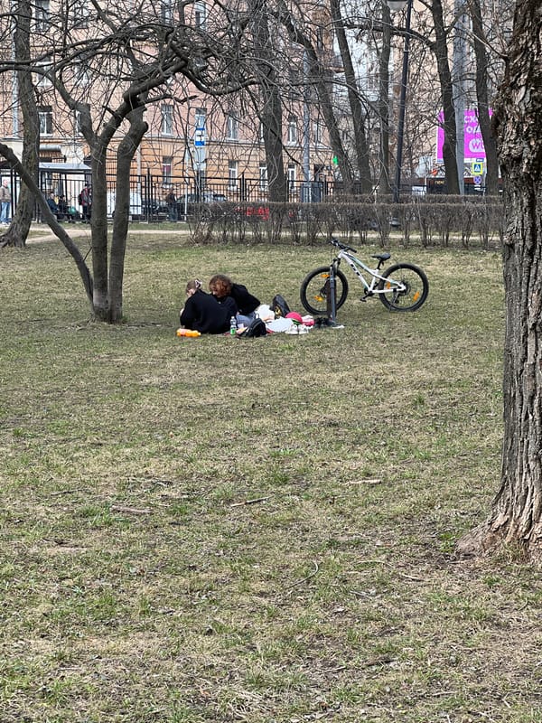 Dog visits outdoor fitness park in Saint Petersburg