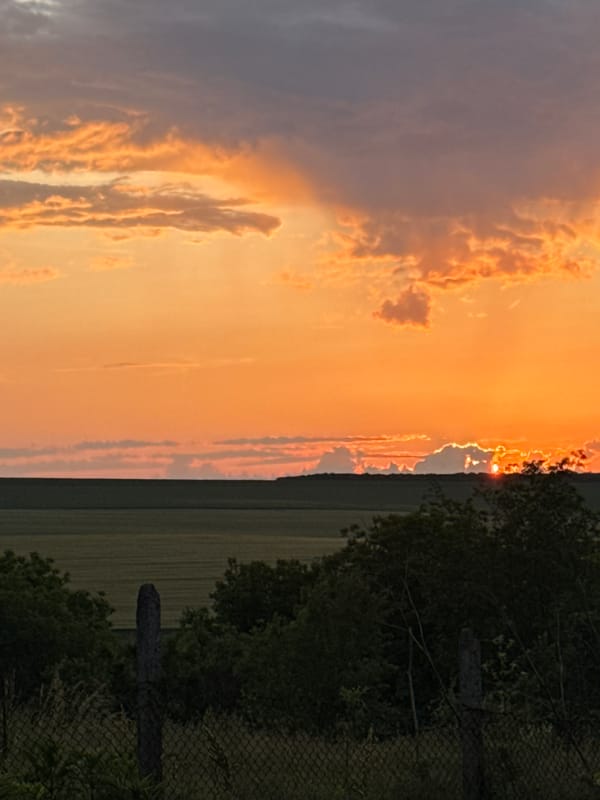 Sunset and dog portrait captured in rural Zornitsa, Bulgaria