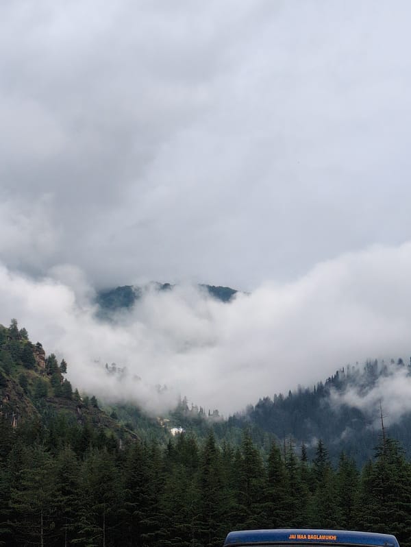 Street scenes and pine forests around Manali on a grey afternoon