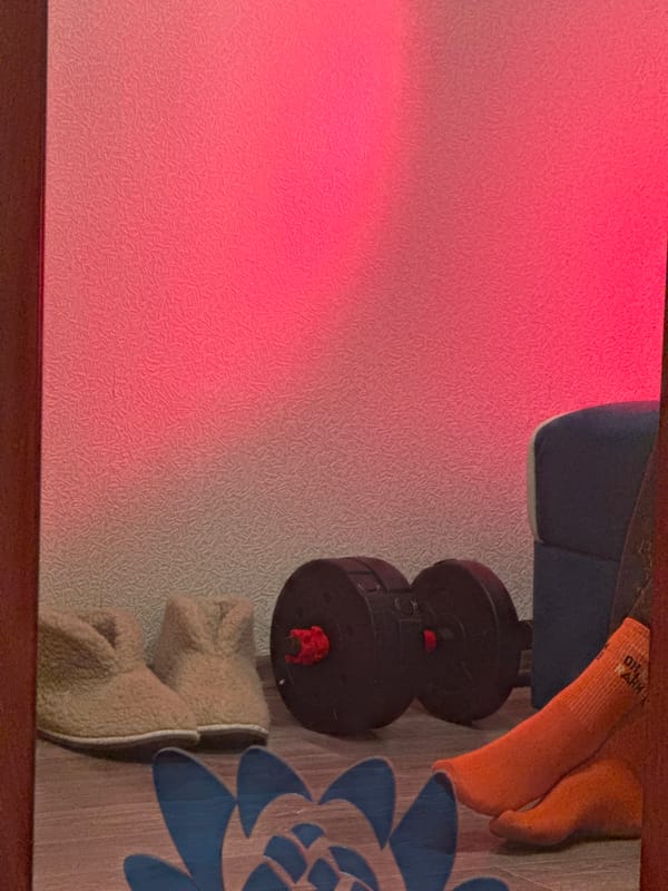 Domestic scenes including exercise equipment and fox artwork captured