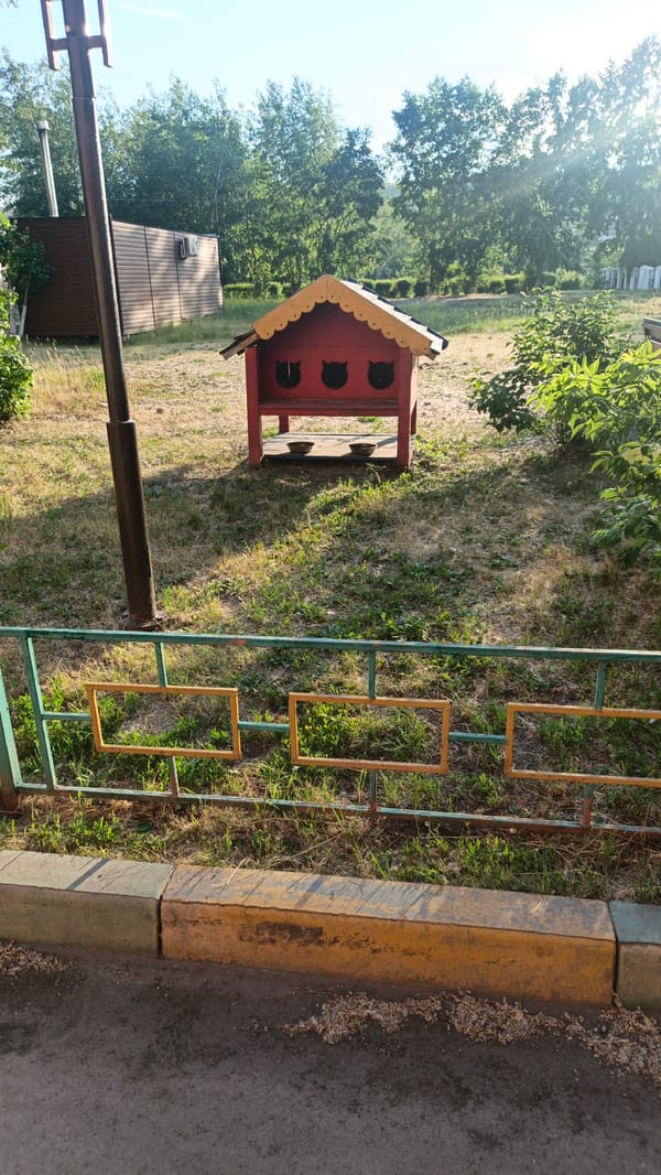 Backyard details and folk art in a quiet Svirsk neighborhood